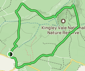 Adsdean to Kingley Vale Circular: 32 Reviews, Map - West Sussex ...