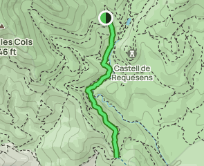 track AE96 Requesens - Coll del Medàs