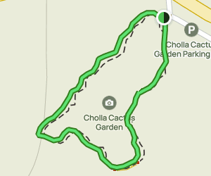 Cholla Cactus Garden: 1873 Reviews, Map - California | AllTrails