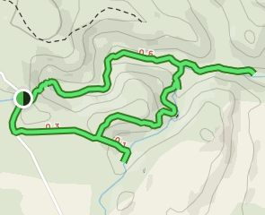 Castra Falls Circuit: 34 Reviews, Map - Tasmania, Australia | AllTrails