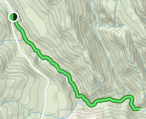 South Thompson Creek Trail, Colorado - 66 Reviews, Map | AllTrails