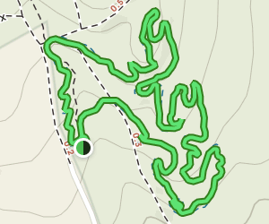 Bethel Community Forest Tribute Trail: 49 Reviews, Map - Maine | AllTrails