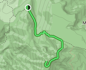 Mount Moriah Summit, Nevada - 9 Reviews, Map | AllTrails