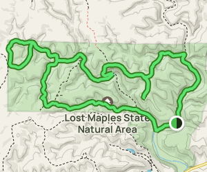 Lost Maples East Trail West Trail - V1 Trail Us Texas Lost Maples East Trail West Trail And West Loop Trail At Map 68846634 1652391382 300w250h En US I 1 Style 3 