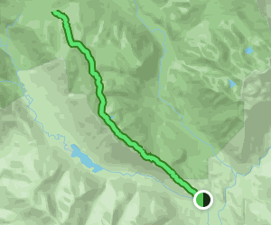 Polallie Ridge Trail: 5 Reviews, Map - Washington | AllTrails