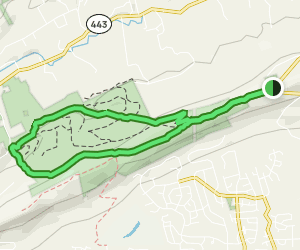 Boyd Big Tree Preserve Loop via Darlington Trail | Map, Guide ...