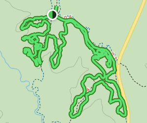 Bethel Mountain Bike Trail: 202 Reviews, Map - Mississippi | AllTrails