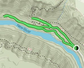 Keeneys Creek and Seldom Seen Trail Loop, West Virginia 107 Reviews