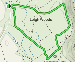 Leigh Woods Purple Circuit: 96 Reviews, Map - Bristol, England | AllTrails