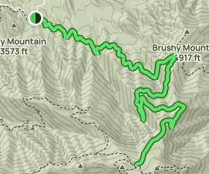 Mount LeConte via Trillium Gap: 526 Reviews, Map - Tennessee | AllTrails