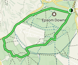 Epsom Downs and Centenary Wood: 148 Reviews, Map - Surrey, England ...