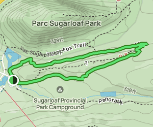 White Pine Trail: 39 Reviews, Map - New Brunswick, Canada  AllTrails