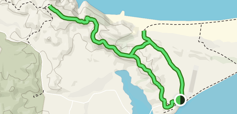 Pillar Point via Hilltop Walk and Fossil Point Track | Map, Guide -  Nelson-Tasman, New Zealand | AllTrails