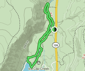 Koosah and Sahalie Falls Trail: 1406 Reviews, Map - Oregon | AllTrails