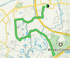 Venus Trail: Byfleet to RHS Garden Wisley, 126 Fotos - Surrey, England ...