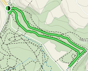 haldon forest trail map