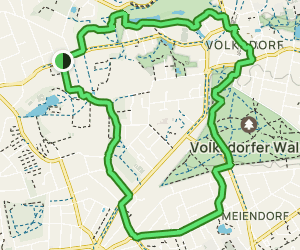 Durch die Volksdorfer Teichwiesen und dem Volksdorfer Wald: 8 Fotos