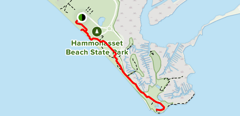 are dogs allowed at hammonasset state park