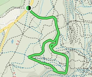 Beechenhurst Trail Circular, 6 Fotos - Gloucestershire, England | AllTrails