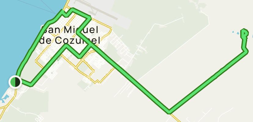 Cozumel - San Gervasio: 1 Reviews, Map - Quintana Roo, Mexico | AllTrails