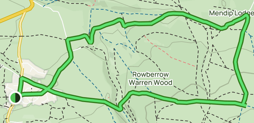 rowberrow warren mtb trails