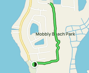 Mobbly Beach Trail via Oldsmar Trail, Florida - 37 Reviews, Map | AllTrails