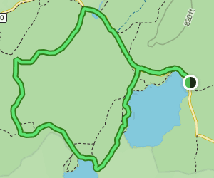 Forest, Loch Garten and Loch Mallachie Circular 31 Reviews