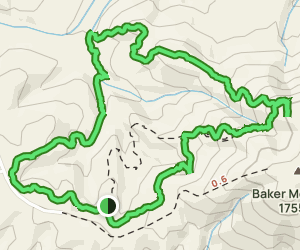 Bakers Mountain Trail: 621 Reviews, Map - North Carolina  AllTrails