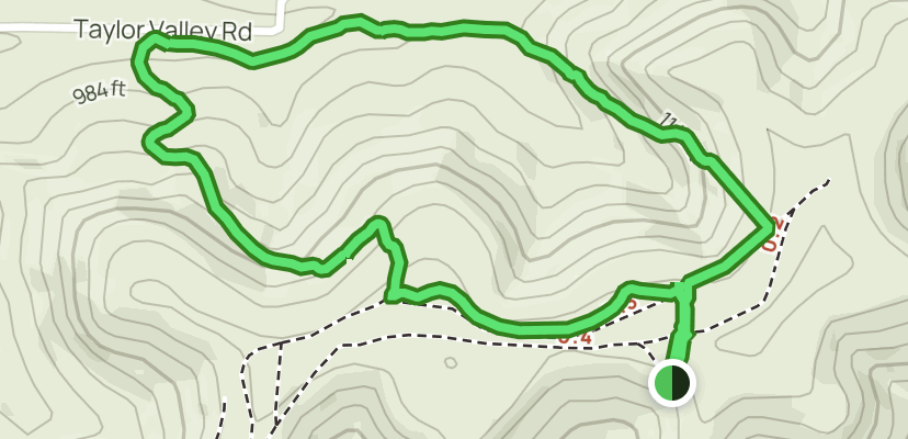 Wildcat Ski Map