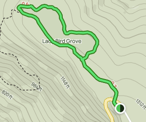 Lady Bird Johnson Grove Trail: 3099 Reviews, Map - California | AllTrails