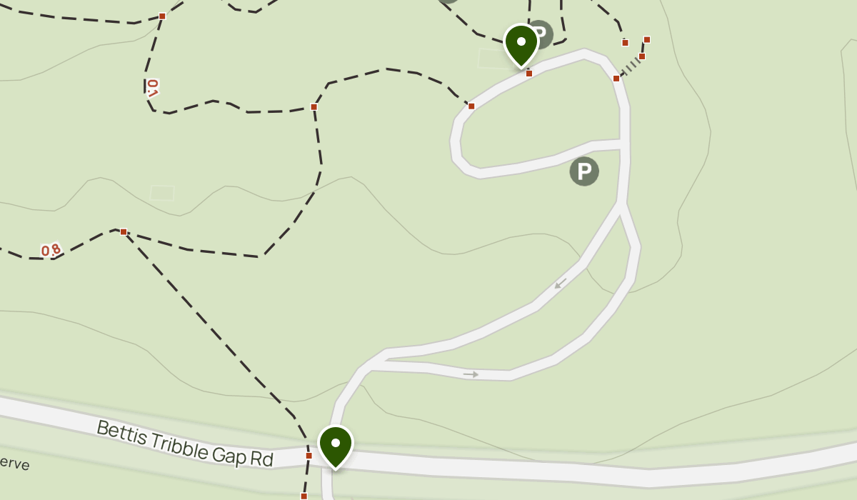 feature trail | List | AllTrails