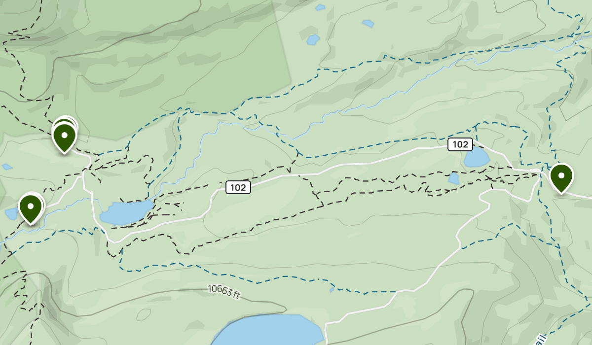 Tiempo en Carolina del Norte: pronóstico, radar, condiciones actuales |  Clima | Univision, image size:1200x700